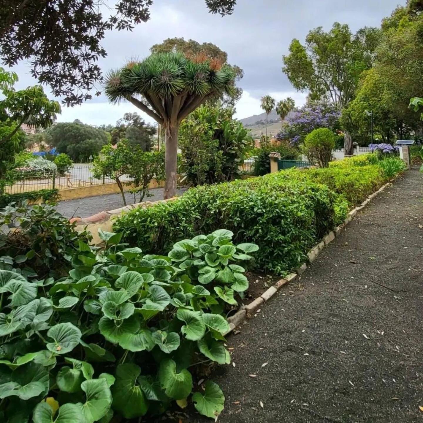 El Batan Resort Santa Brígida Buitenkant foto